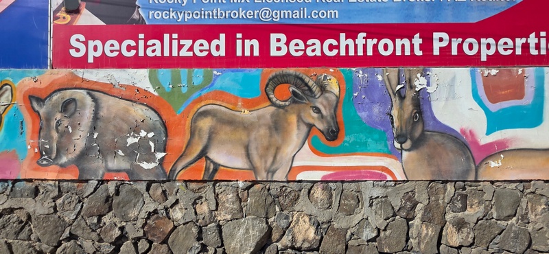 mural in Puerto Peñasco by artist unknown.