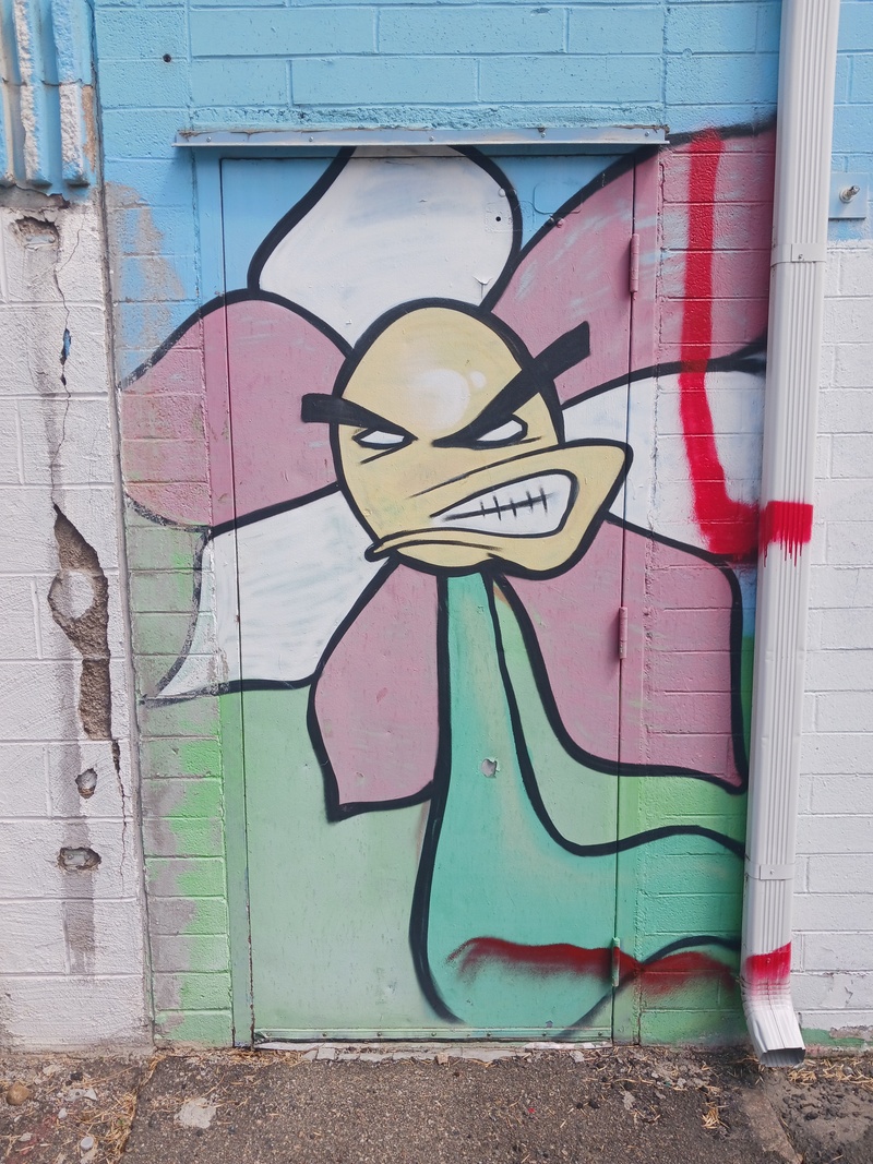 mural in Denver by artist unknown.