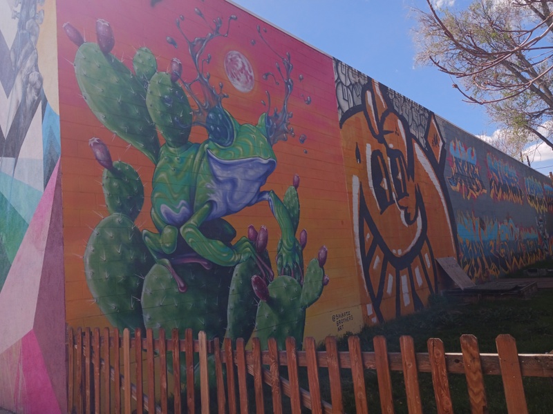 mural in Denver by artist Swartz Brothers Art.