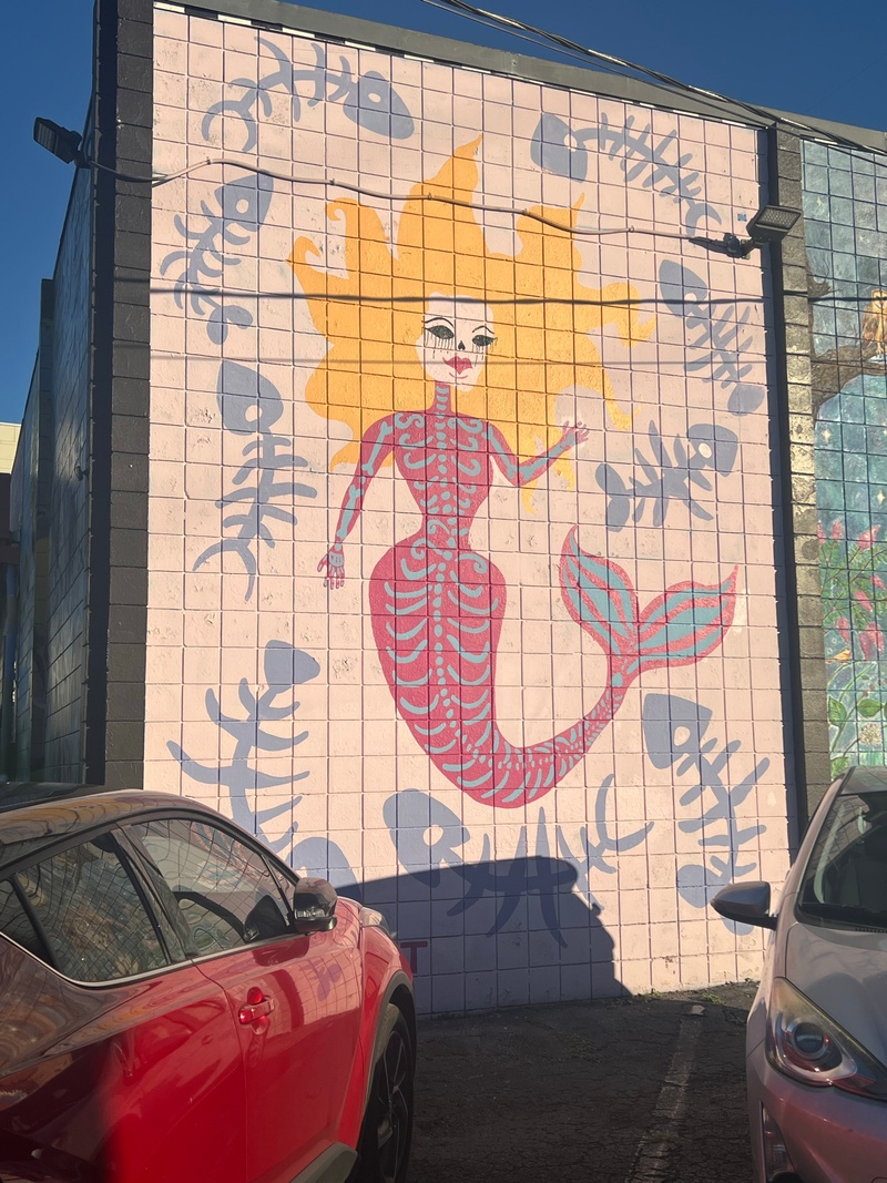 mural in Tallahassee by artist unknown.