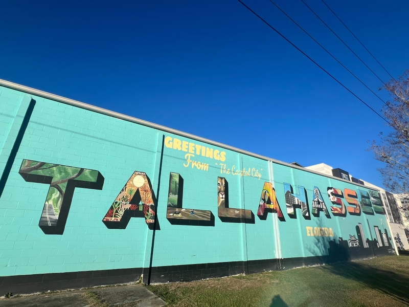 mural in Tallahassee by artist unknown.