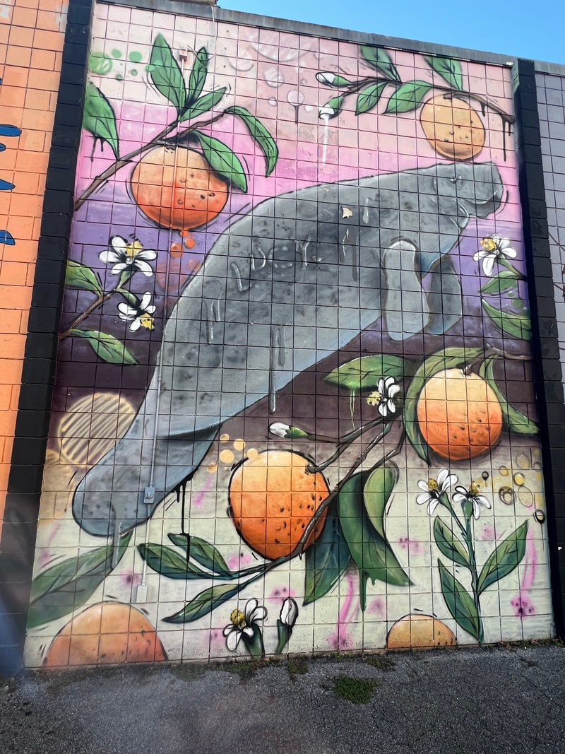 mural in Tallahassee by artist unknown.