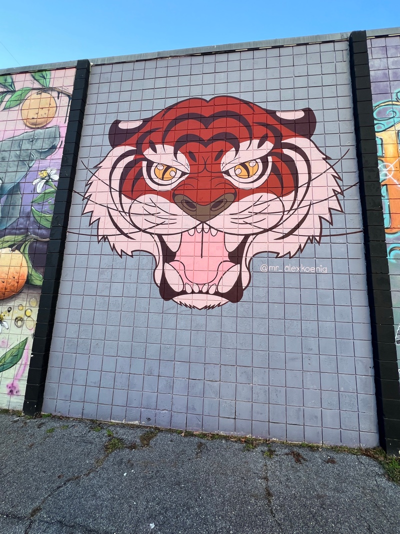 mural in Tallahassee by artist Alex Koenig.