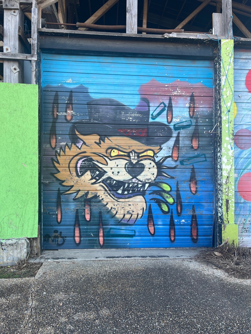 mural in Tallahassee by artist unknown.