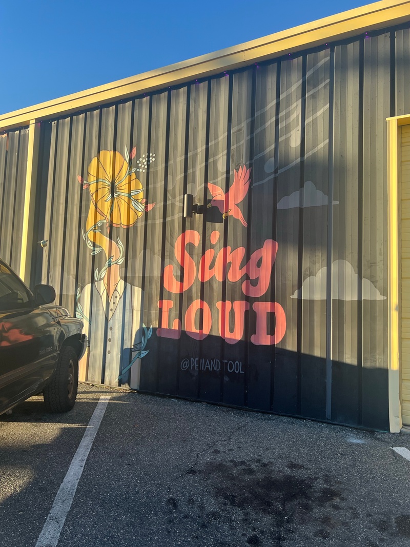 mural in Tallahassee by artist unknown.