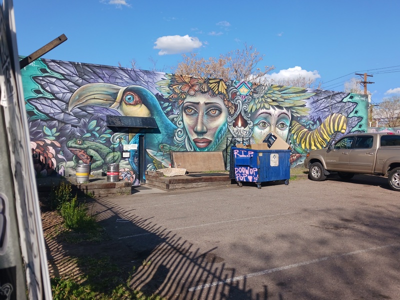 mural in Denver by artist Shalak.