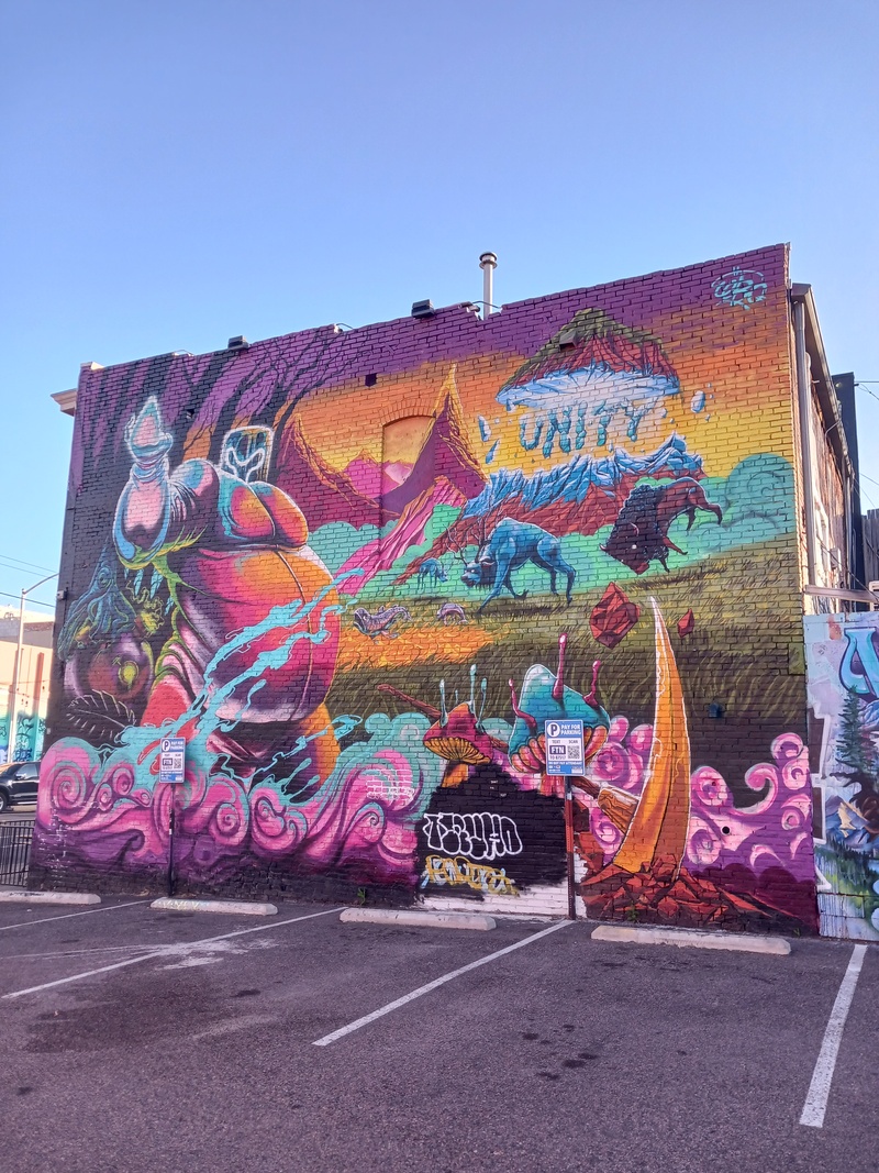 mural in Denver by artist Renaud Taelemans.