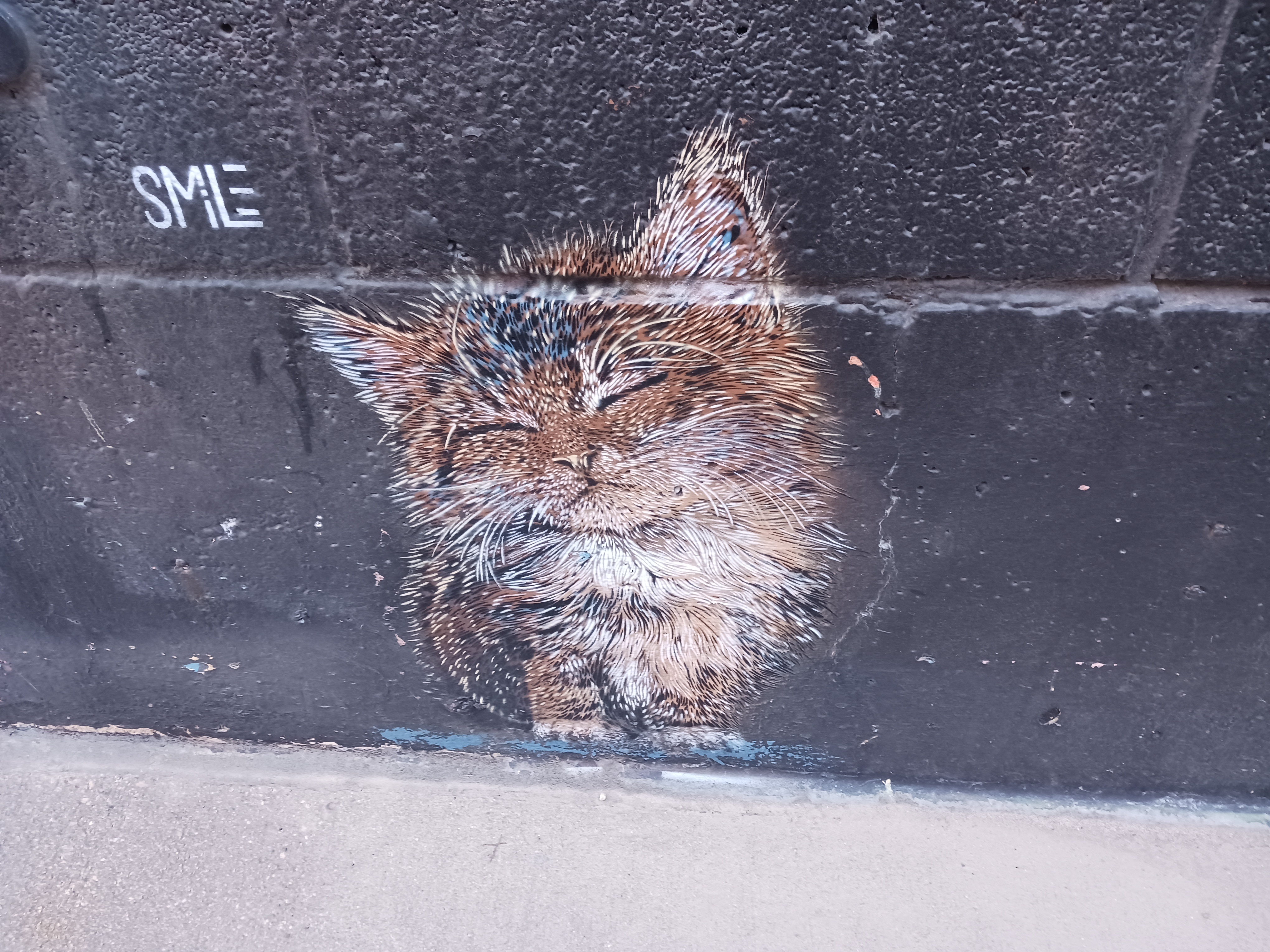 Smile Murals and Street Art | FindMASA