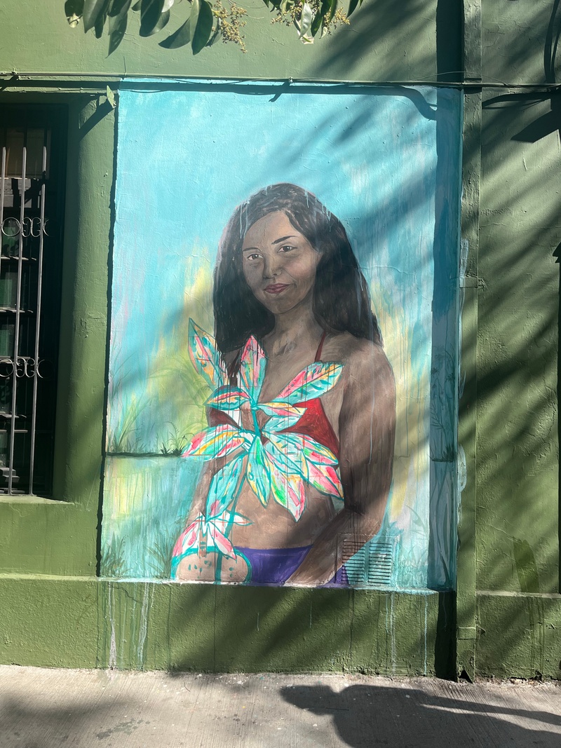 mural in Santiago by artist unknown.