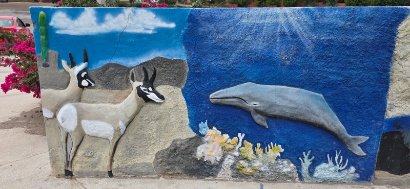 mural in San Ignacio by artist unknown.