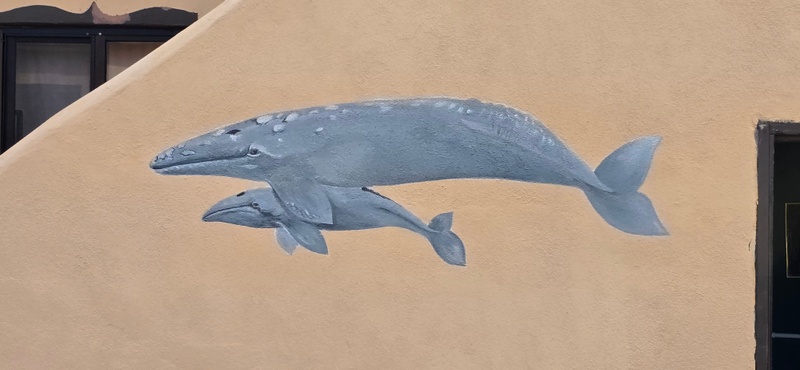 mural in Bahía Asunción by artist unknown.