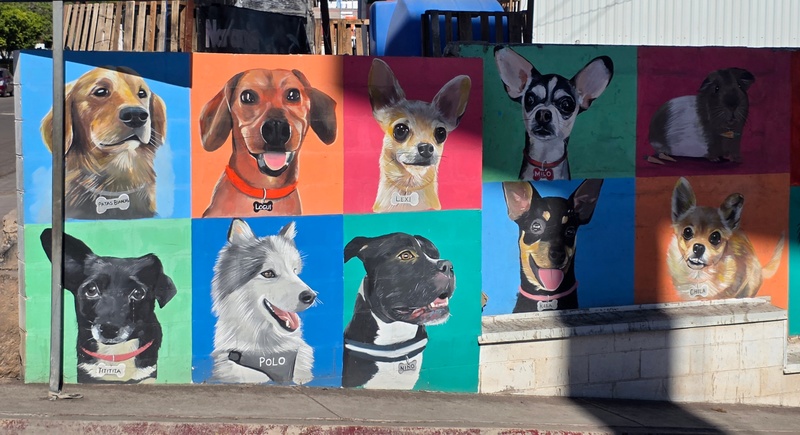 mural in Santa Rosalía by artist unknown.