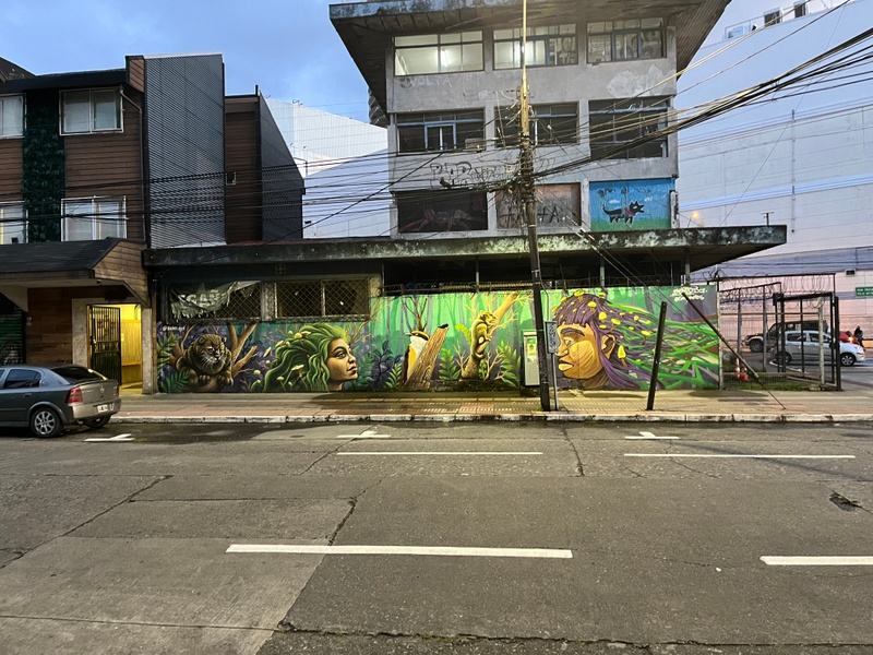 mural in Puerto Montt by artist unknown.