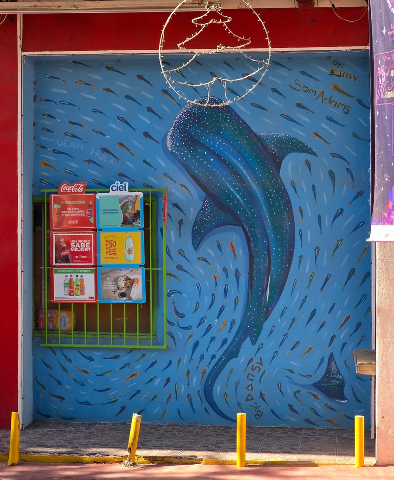 mural in Heroica Mulegé by artist Dansv Vela.