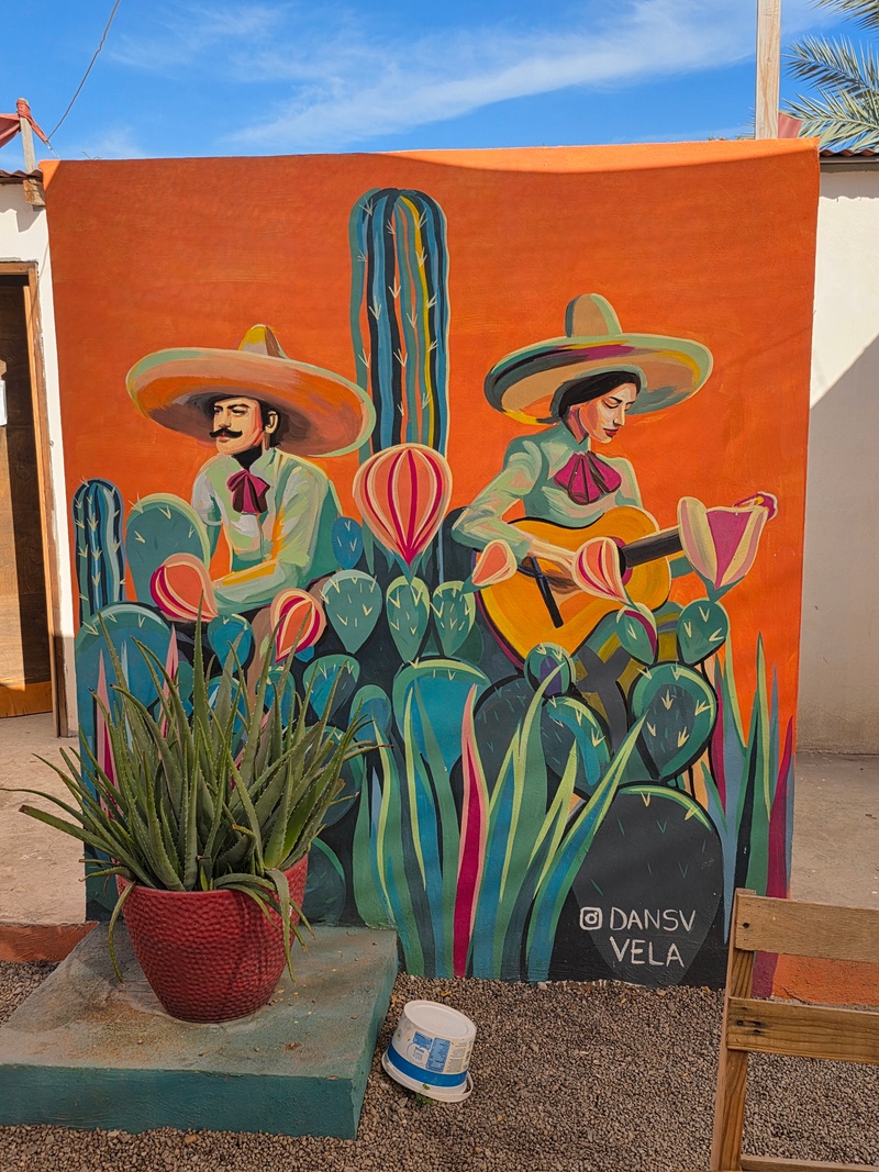 mural in Heroica Mulegé by artist Dansv Vela.