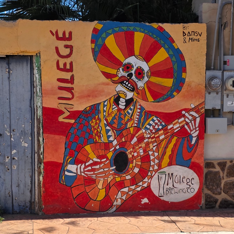 mural in Heroica Mulegé by artist Dansv Vela.