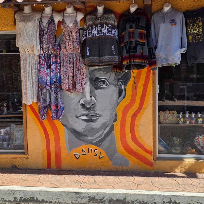 mural in Heroica Mulegé by artist Dansv Vela.