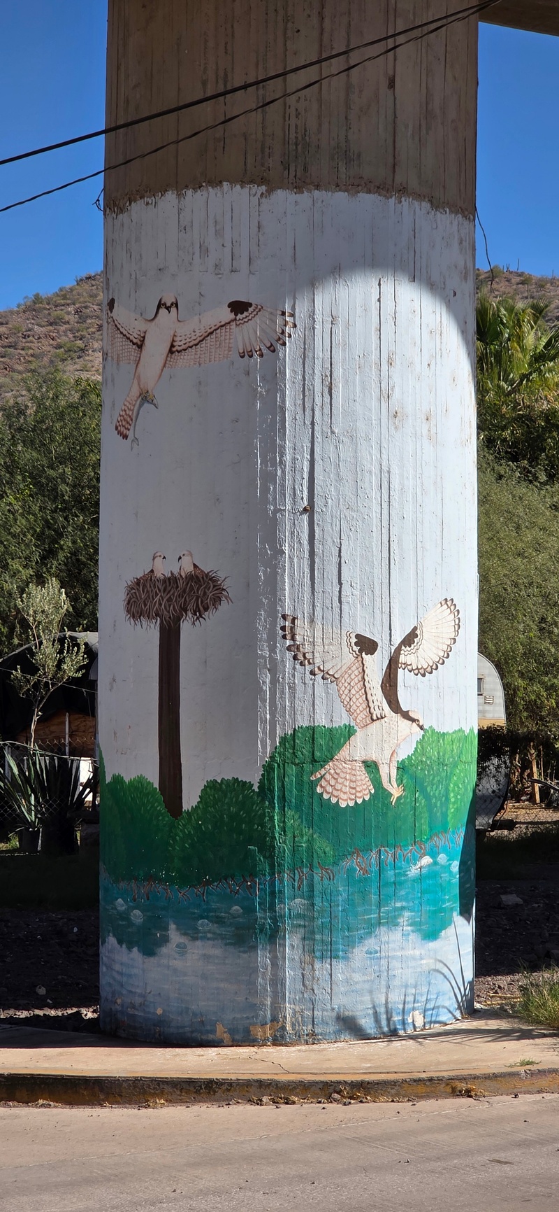 mural in Mulegé by artist unknown.