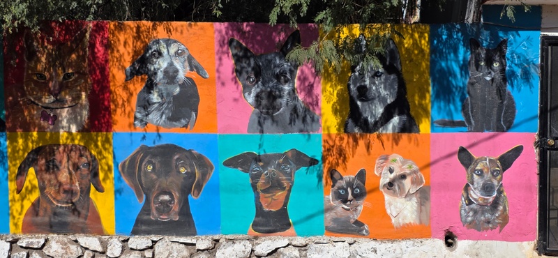 mural in Ejido del Centro by artist Dansv Vela.