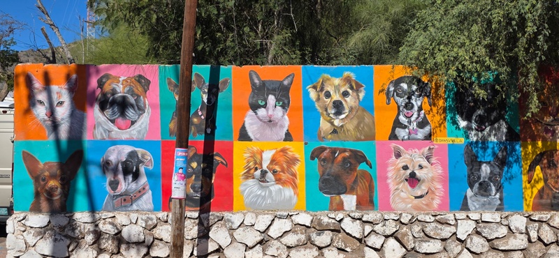 mural in Ejido del Centro by artist Dansv Vela.