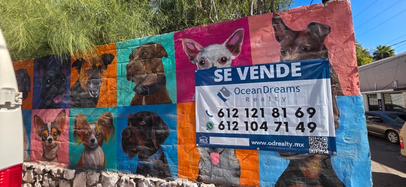 mural in Ejido del Centro by artist Dansv Vela.