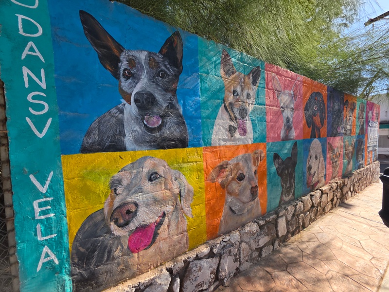 mural in Ejido del Centro by artist Dansv Vela.