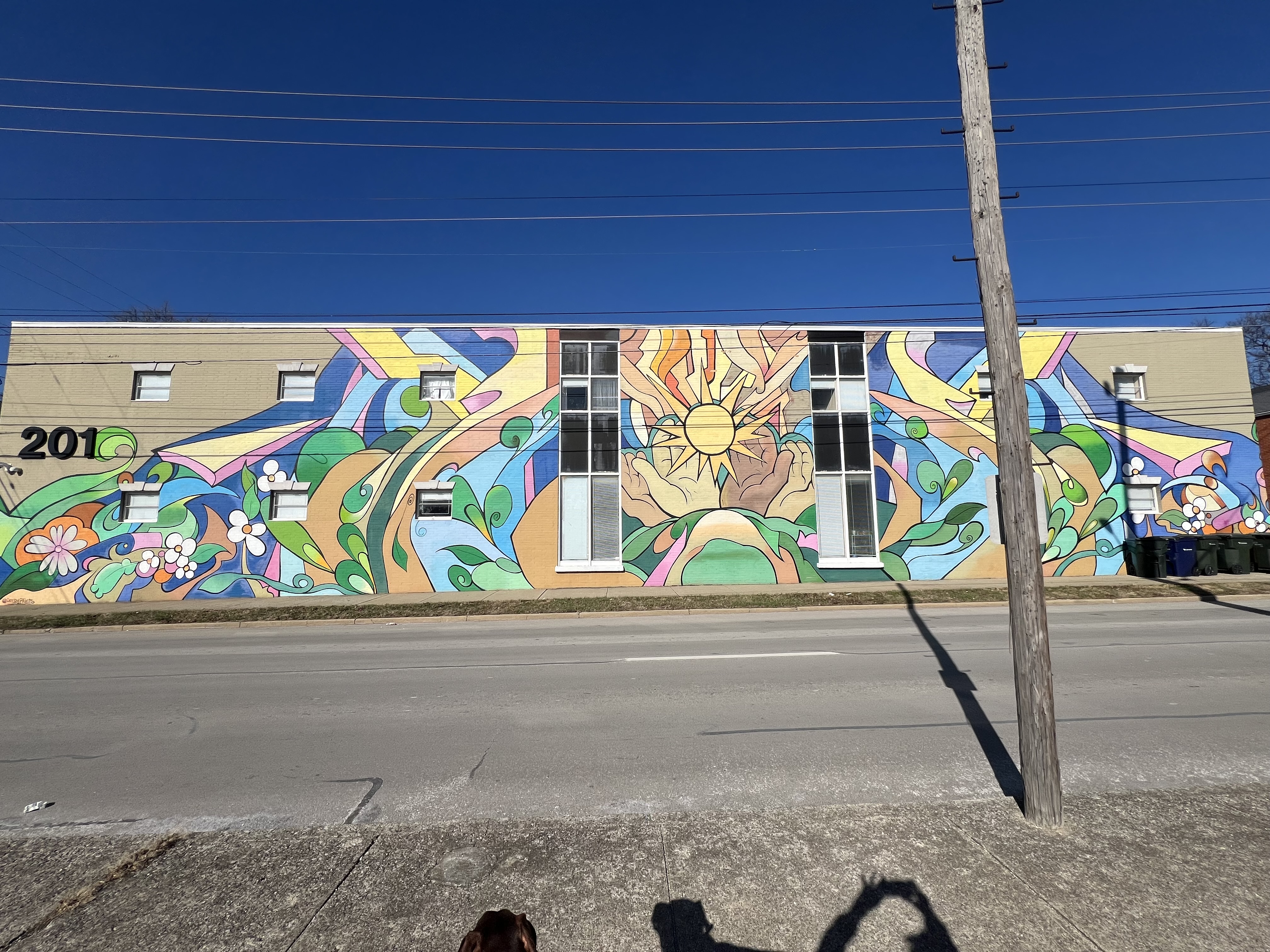 mural in Lexington by artist Casey Mckinney.