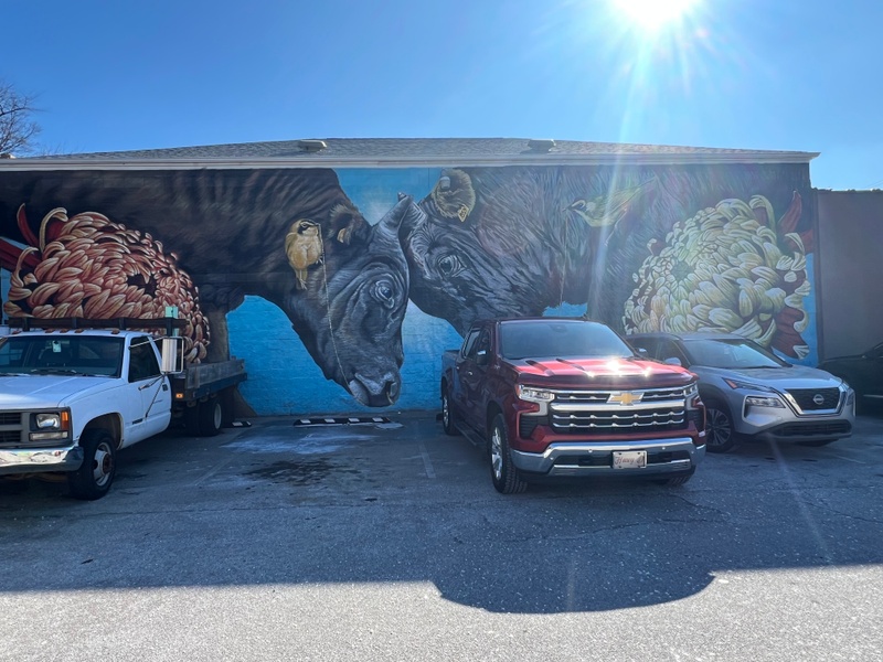 mural in Lexington by artist Alexandrea Pangburn.