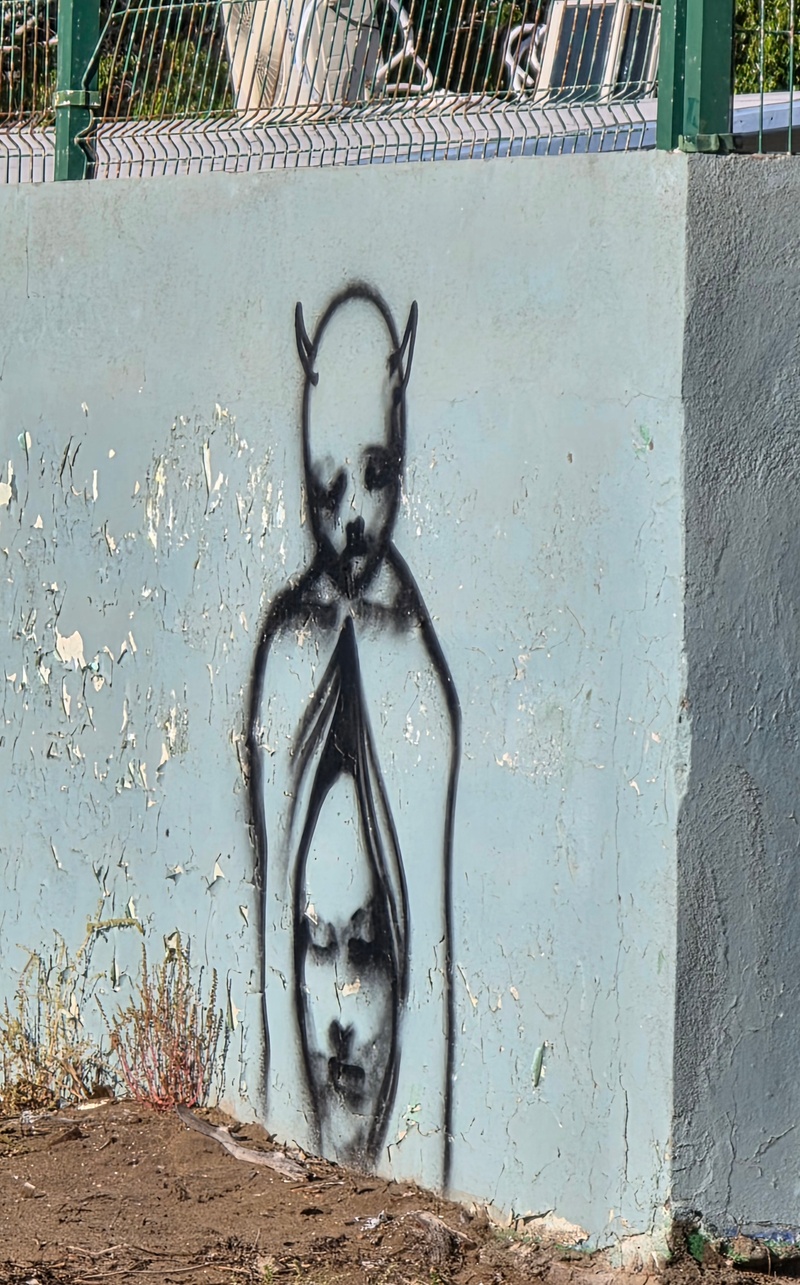 mural in Puerto San Carlos by artist unknown.