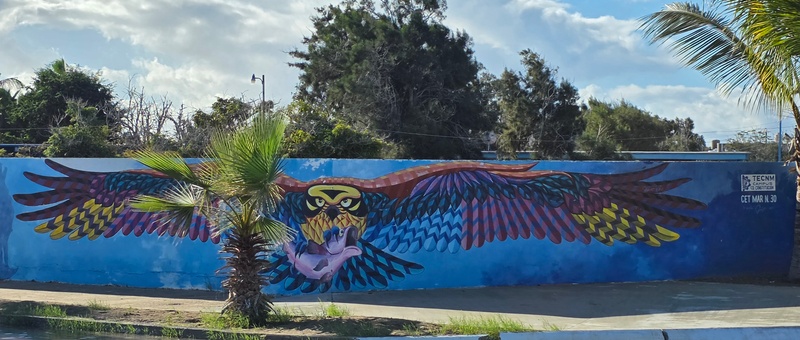 mural in Puerto San Carlos by artist unknown.