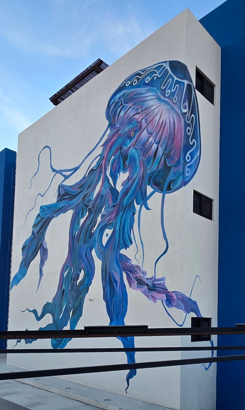 mural in La Paz by artist unknown.