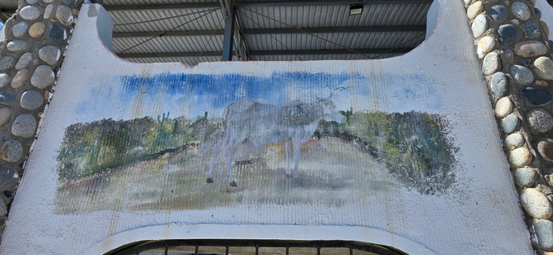 mural in Los Barriles by artist unknown.
