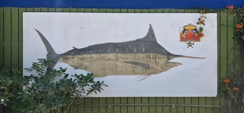 mural in Los Barriles by artist unknown.