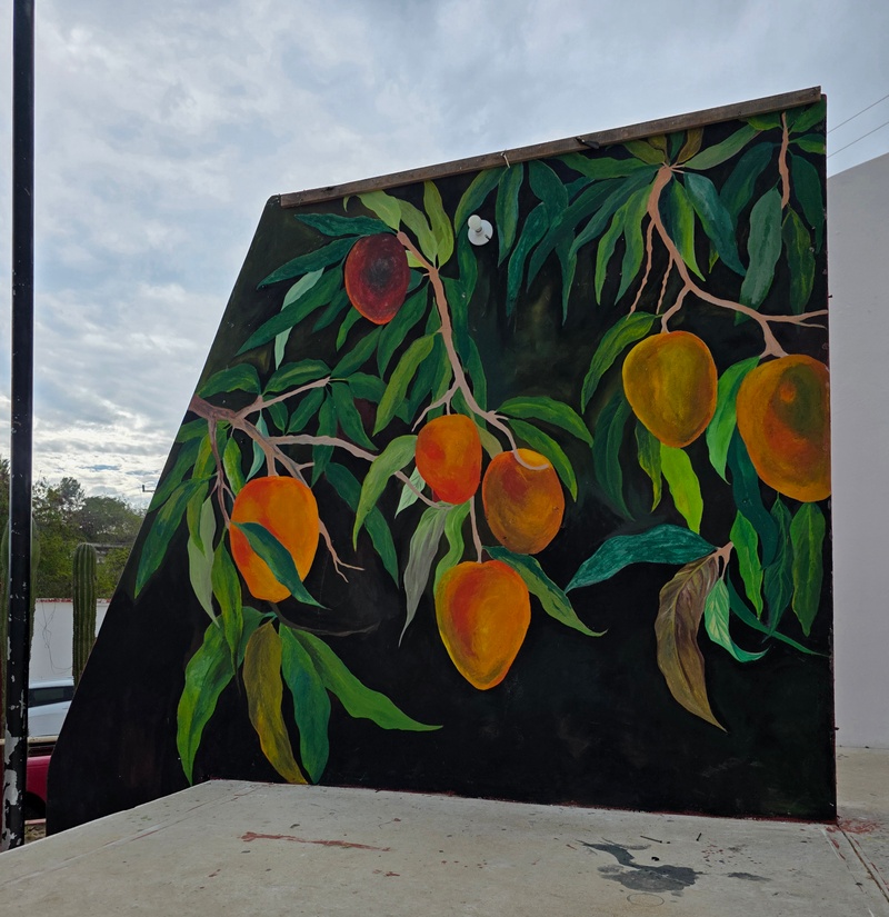 mural in Santiago by artist unknown.