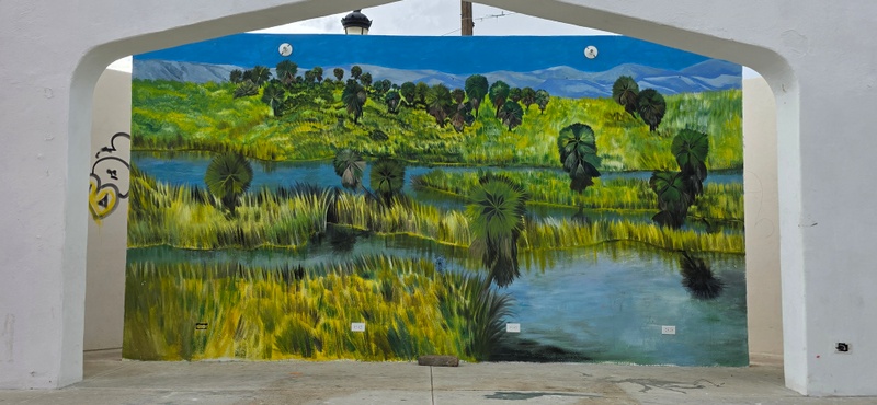 mural in Santiago by artist unknown.