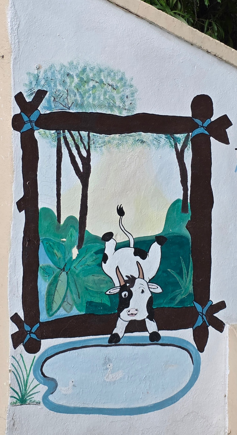 mural in Santiago by artist unknown.