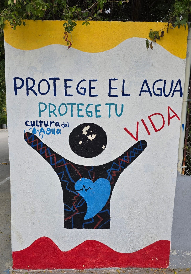 mural in Santiago by artist unknown.