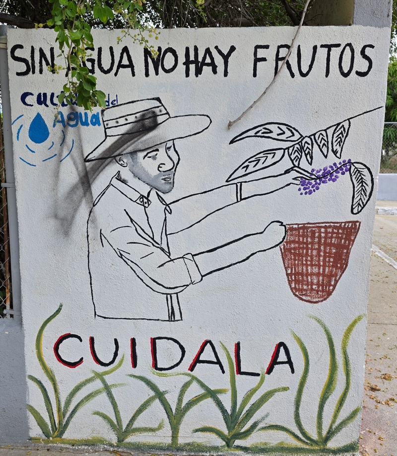 mural in Santiago by artist unknown.