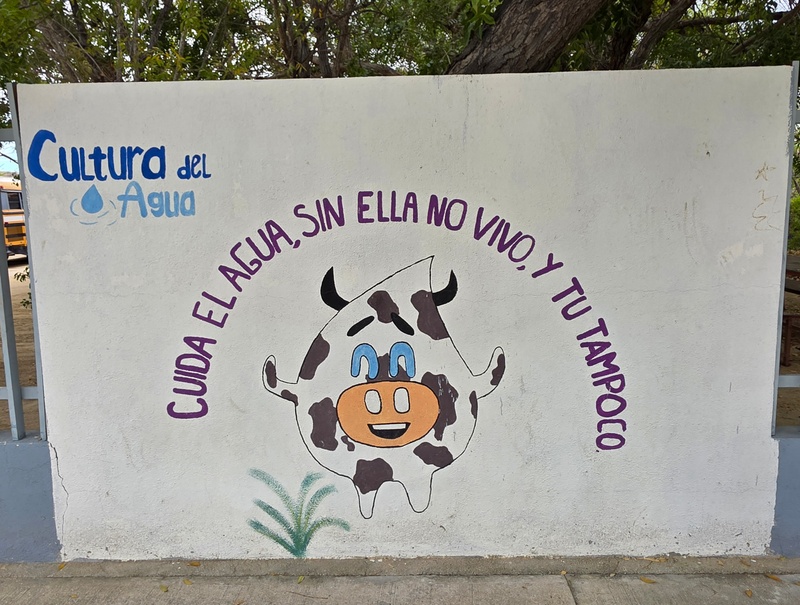 mural in Santiago by artist unknown.