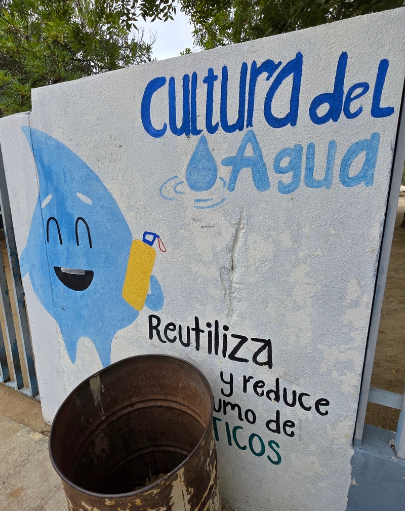 mural in Santiago by artist unknown.