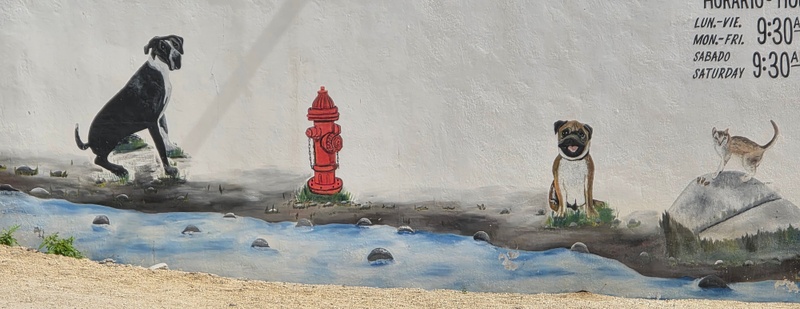 mural in Buenos Aires by artist unknown.