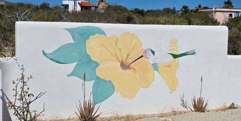 mural in Agua de la Costa by artist unknown.