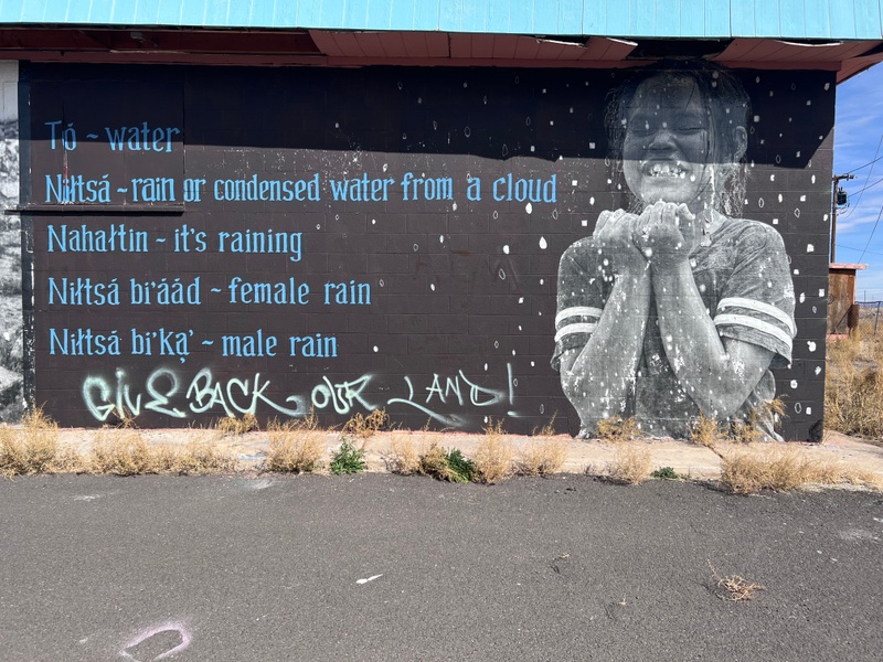 mural in Cameron by artist unknown.