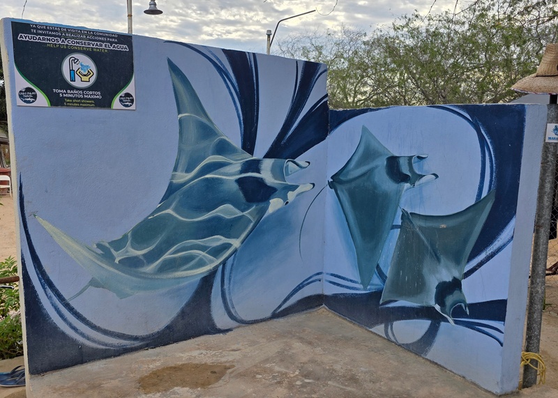 mural in Cabo Pulmo by artist unknown.