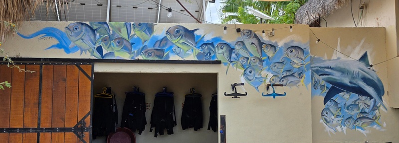 mural in Cabo Pulmo by artist unknown.