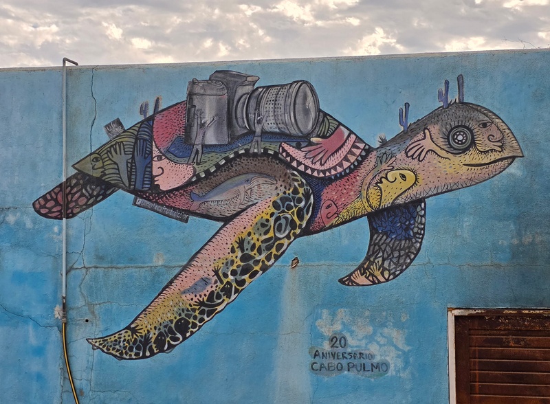 mural in Cabo Pulmo by artist unknown.