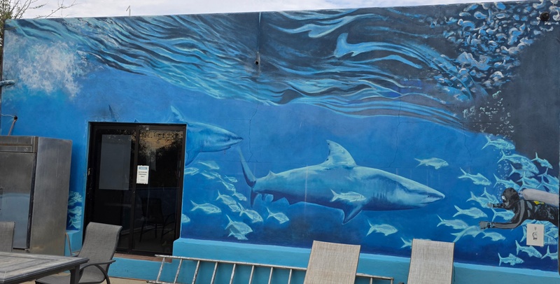mural in Cabo Pulmo by artist unknown.