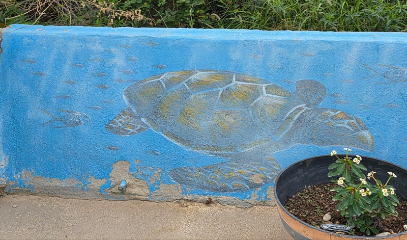 mural in Cabo Pulmo by artist unknown.