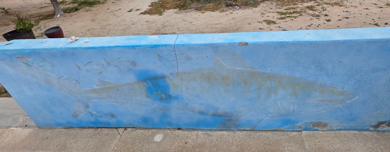 mural in Cabo Pulmo by artist unknown.