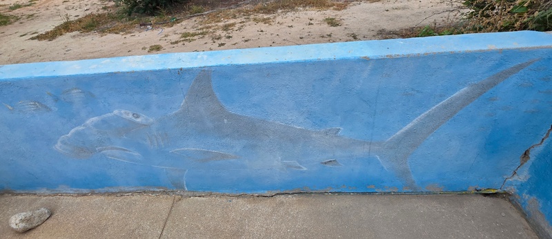 mural in Cabo Pulmo by artist unknown.
